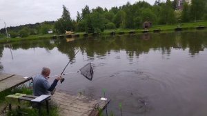 Светлые Горы Карп 03.06.2026г.