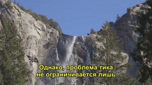 Яков Кедми Горькая правда об Украине, Зеленском и 'дешевых провокациях' в Израиле