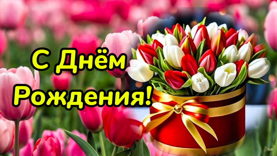 С Днём Рождения! Танцуй весь день, зажигательная песня.