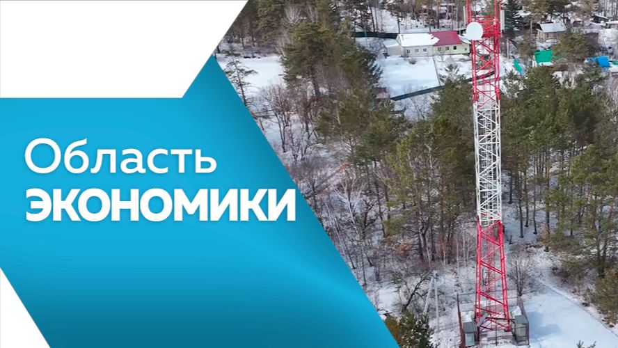 ОБЛАСТЬ ЭКОНОМИКИ № 187