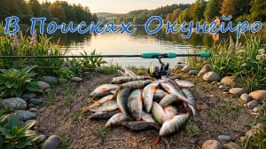В Поисках Окунейро)))