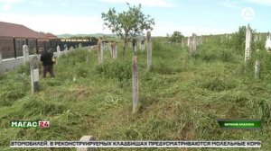 В Ингушетии дан старт четвертому этапу восстановления кладбищ