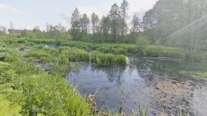 Река Востра. Вечер. ч.4. Июнь 2026