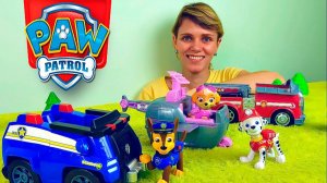 Щенячий Патруль и опыт Извержение Вулкана - Развивающее видео для детей Paw Patrol