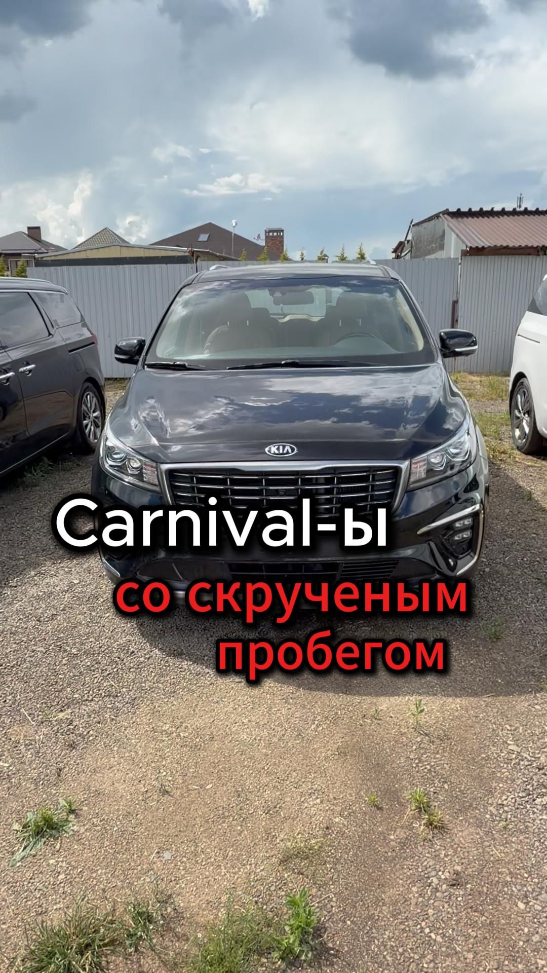 На осмотре Kia Carnival🧐
