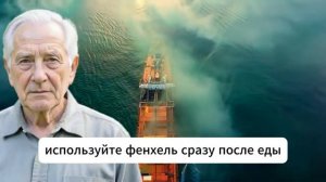 . Врачи Поражены： Жуйте Эту Специю 45 Секунд И Избавьтесь От Вздутия Без Таблеток Для Похудения