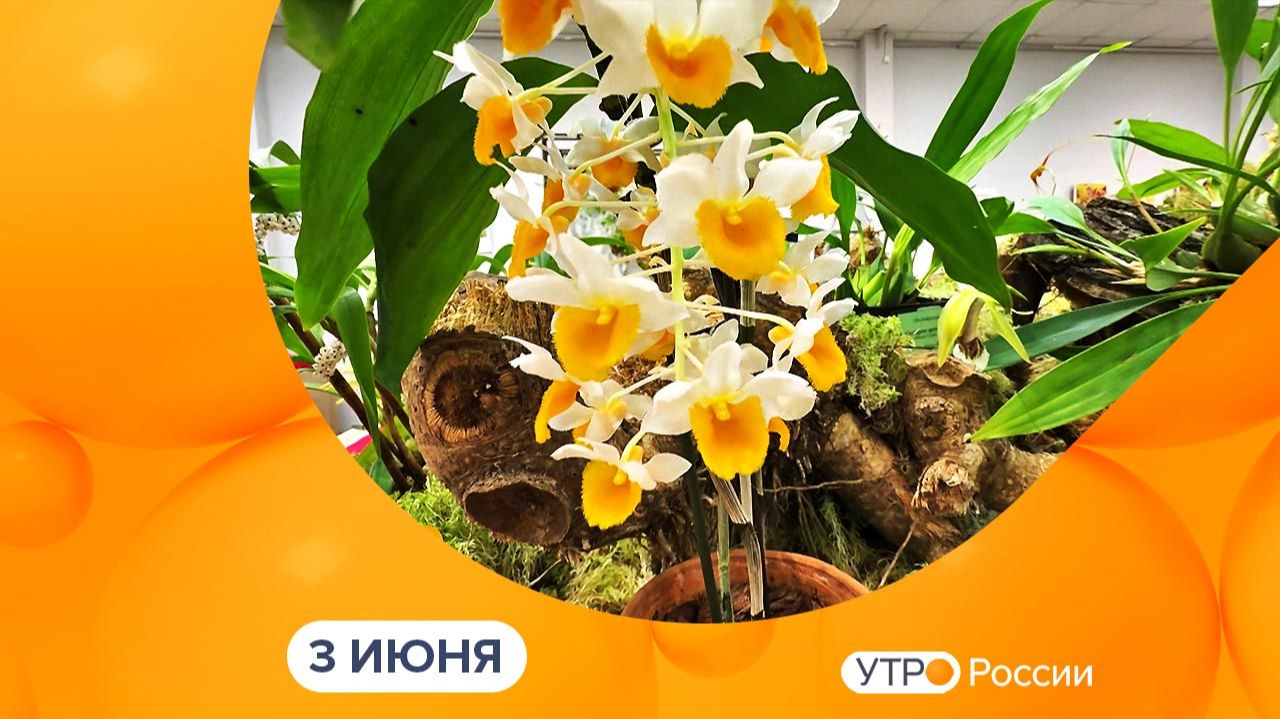 Утро России. Калуга (03.06.2026) смотреть онлайн