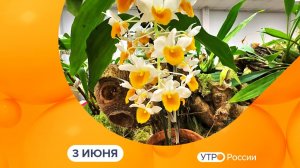 Утро России. Калуга (03.06.2026)