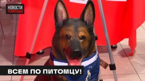 Зоофест Эко прошёл в Мытищах