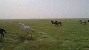 Вместе с Группой ПТК. Степи.