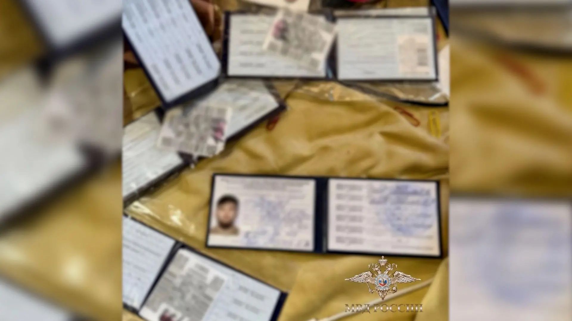 Задержаны подозреваемые в организации незаконной миграции смотреть онлайн