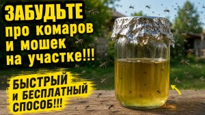 Забудьте про КОМАРОВ и МОШЕК на участке в огороде и саду!