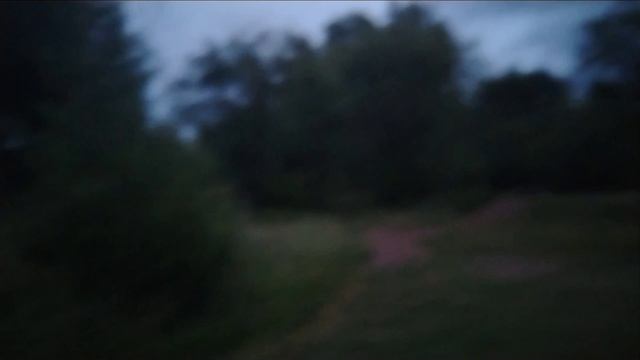 03-06-2026