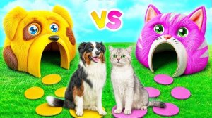 Стоим домики для животных