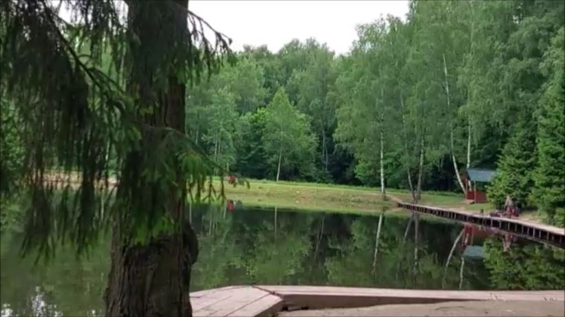 Утренний обзор с нижнего водоёма. Клёвое место, Лосиный остров. смотреть онлайн