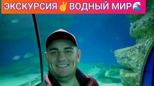 ЗОЛОТЫЕ РЫБКИ ЕСТЬ❓АКУЛЫ, ПИРАНЬИ,МОРСКИЕ КОТИКИ🐠А,Я У ВАС ОДИН✌️#маркникольский