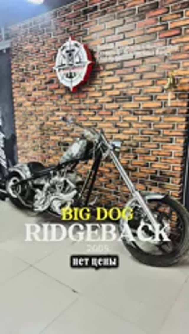 Вторая жизнь Хардтейл Big Dog Ridgeback 2005 смотреть онлайн