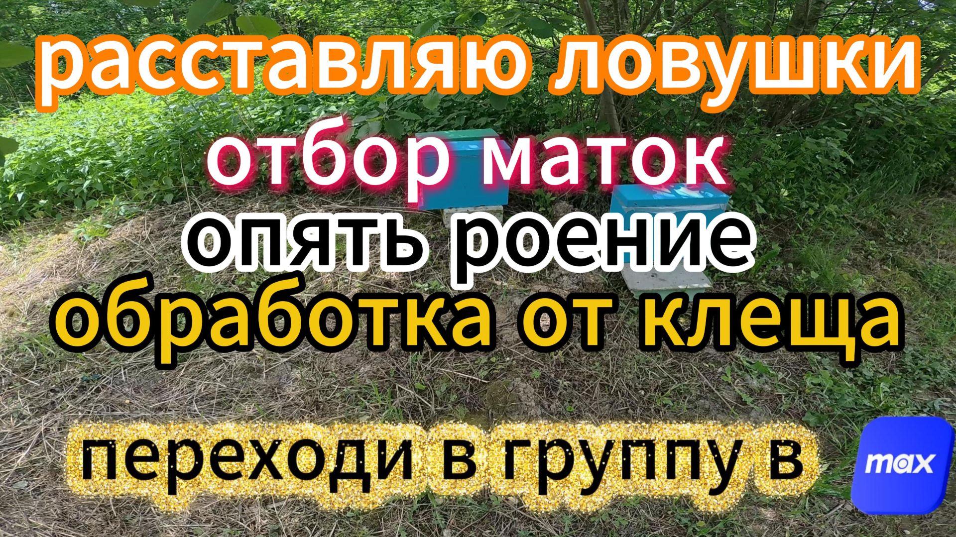 !!!!Трудовые Будни пчеловода !!!!!#пчеловодство #топ смотреть онлайн