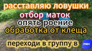 !!!!Трудовые Будни пчеловода !!!!!#пчеловодство #топ