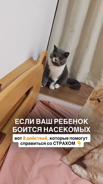 Если ваш ребёнок боится насекомых