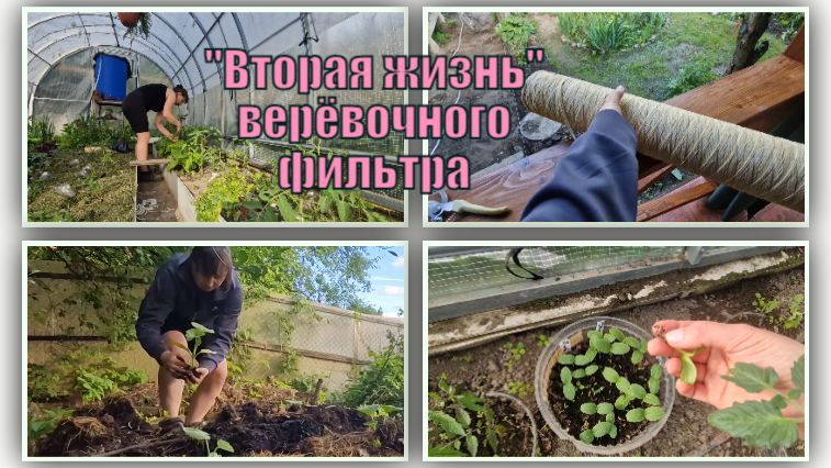 Падёж рассады. Подвязала помидоры. Высадила тыквы. Перенесли подпорный столб.