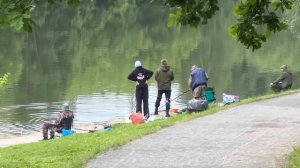 Утро на водоёме