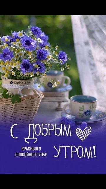 1000000326.mp4 смотреть онлайн
