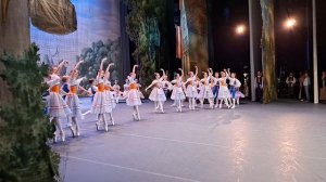 Детский танец из балета «Коппелия»