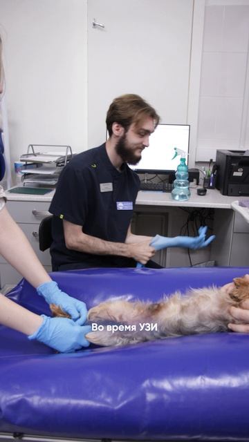 какие симптомы нельзя игнорировать
