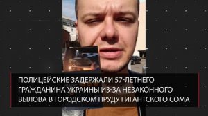 В Польше украинец выловил и убил сома-легенду | Депутаты Варшавы требуют лишить Киев поддержки