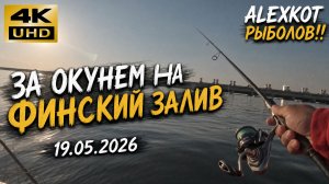 Рыбалка на окуня на Финском заливе. 19 мая 2026.