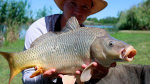 Хорошая рыбалка на сазана и амура, летний рыболовный сезон