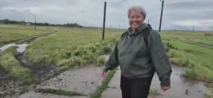 Алиса Неземная - ЛЕТО,ГДЕ ТЫ ПРОБЕЖКА В МАГАЗИН,ИЛИ ПРОГУЛКА ПОД МЕЛКИМ ДОЖДИКОМ🌧🌨🌧