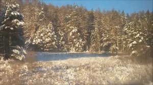 2024-12-16 Поездка Братск-Иркутск по железной дороге (Сибирь, Россия)