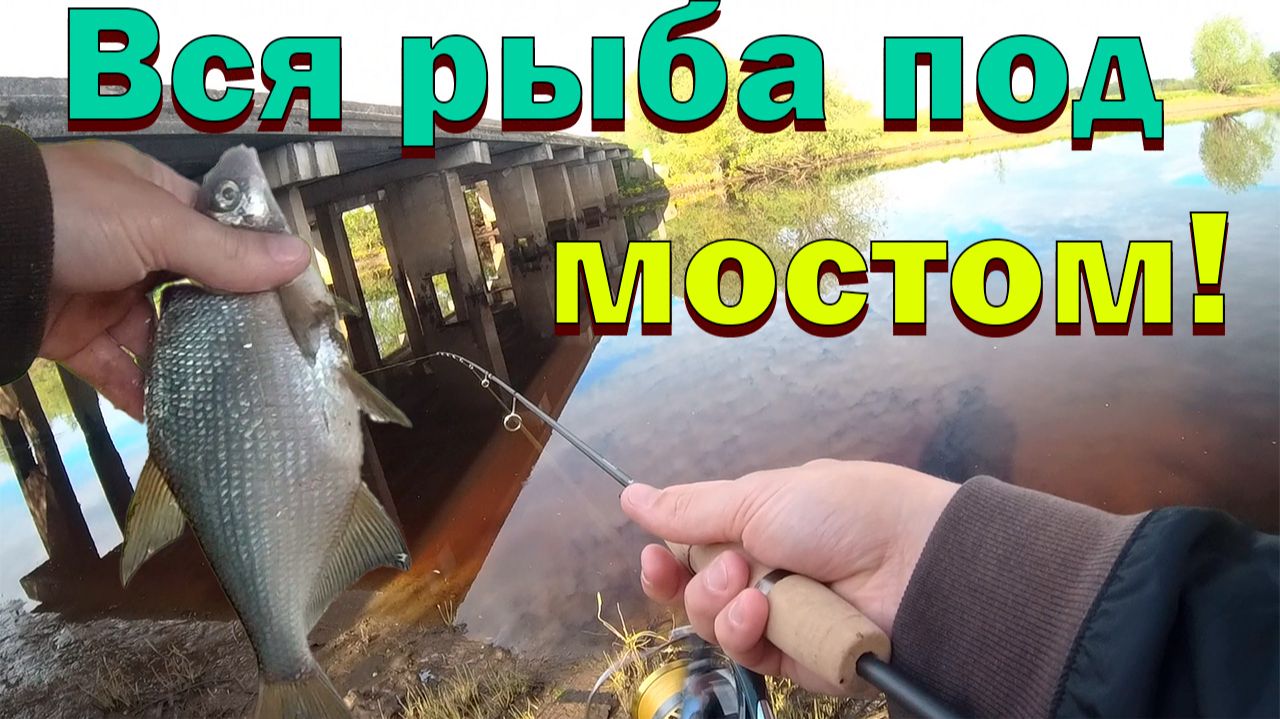 Взял новый спиннинг на небольшую речку! Рыбалка под мостом! Щука, окунь, лещ! Nautilus Fortezza!