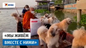 Монах, лодка и 50 спасённых собак
