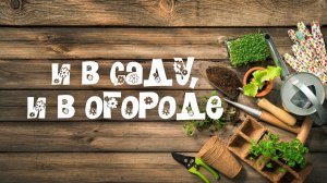 И в саду, и в огороде - 01.06.2026 Работы в саду в июне