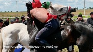 Борьба в седле (авдарыс)