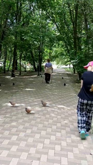 Отлично погуляли,дорожки проходят прям как сквозь лес