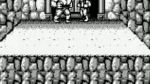 [GB]Double dragon-pasess