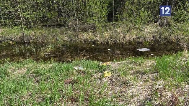 СВАЛКА В ЧЕРЕПОВЕЦКОМ ОКРУГЕ смотреть онлайн