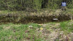 СВАЛКА В ЧЕРЕПОВЕЦКОМ ОКРУГЕ