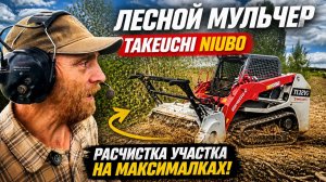 Как мульчер NIUBO  справляется с джунглями? Расчистка участка под строительство дома