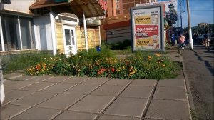 2024-08-16 Последние тёплые деньки, Братск, Сибирь, Россия