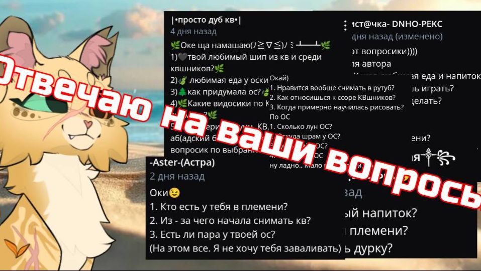 «Вопрос-Ответ», отвечаю на ваши вопросы
