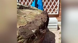 В Кисловодске со склона горы Кольцо скатился огромный валун.