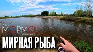 Мормышинг на скорую руку. Мирная рыба. Наноджиг Ультралайт
