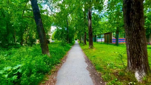 Цветы, коты и зелёные тропинки🌱🌼🌲🏡🐈⬛🌾