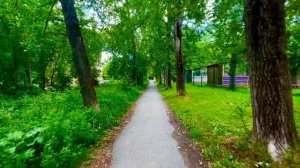 Цветы, коты и зелёные тропинки🌱🌼🌲🏡🐈⬛🌾