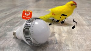 Умная лампочка-колонка LightMe с Aliexpress